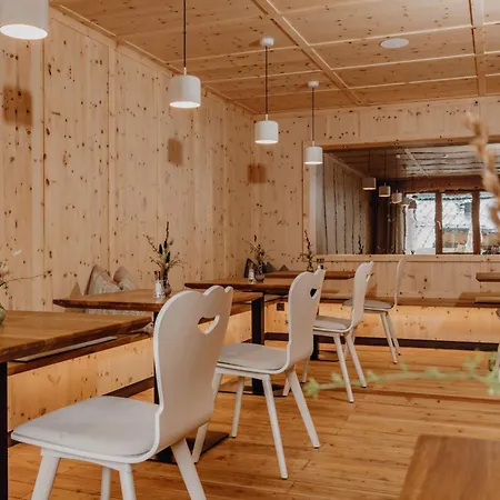 Ferienalm Panorama Schladming